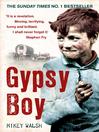 Gypsy Boy (eBook)